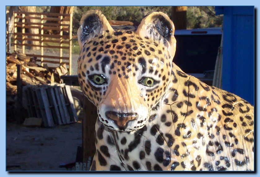 2-07 leopards-archive-0009